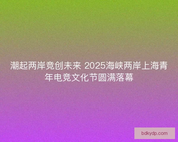 潮起两岸竞创未来 2025海峡两岸上海青年电竞文化节圆满落幕